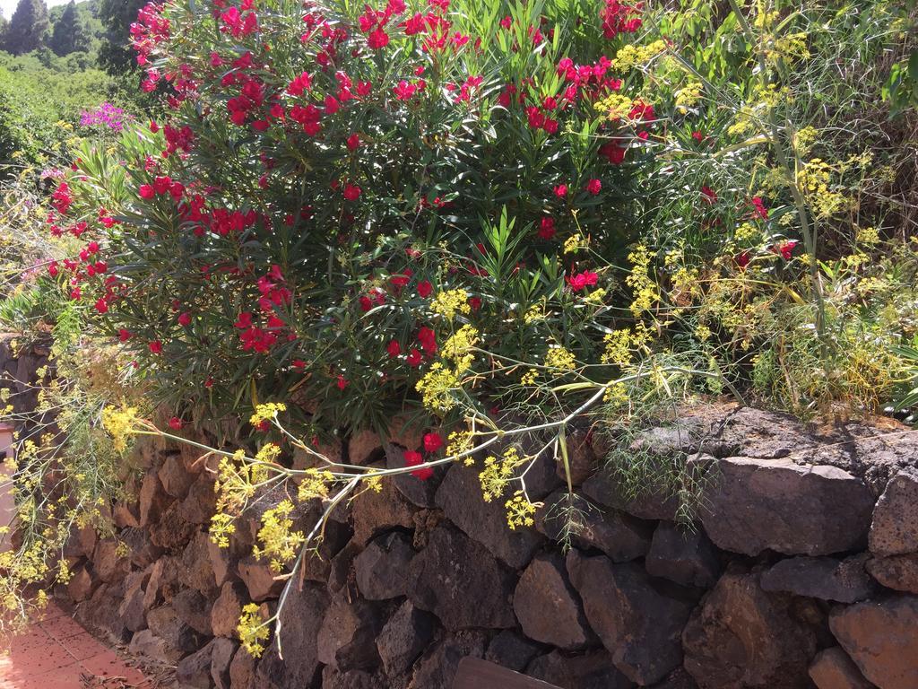 Finca Madrugada Санта Круз де Ла Палма Екстериор снимка